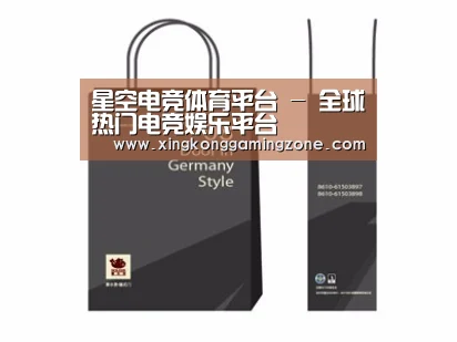 项目名称十四