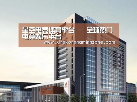 案例展示七